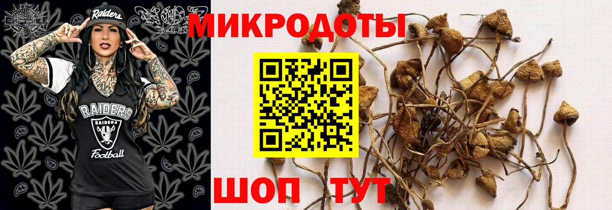 Псилоцибиновые грибы Cubensis  Вход с VPN  где найти наркотики  Реж 